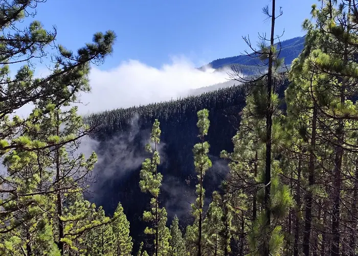 Mng-apart Studia Mareverde D-15 Lejlighed *