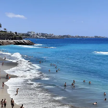 Mng-apart Studia Mareverde D-15 アパート