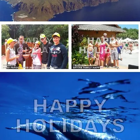 Mng-apart Studia Mareverde D-15 アパート